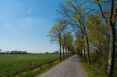 doğanın harika bir görünüm yürüyüş yaparken
