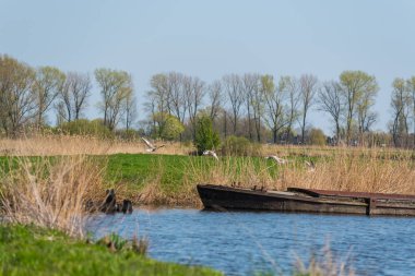 Su her zaman doğada yolunu bulur.