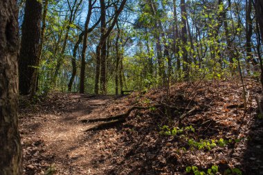 doğanın harika bir görünüm yürüyüş yaparken