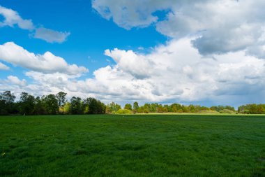 doğanın harika bir görünüm yürüyüş yaparken