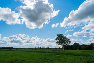doğanın harika bir görünüm yürüyüş yaparken