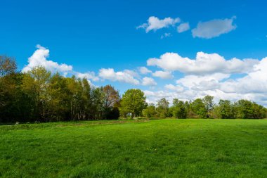 doğanın harika bir görünüm yürüyüş yaparken