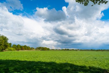doğanın harika bir görünüm yürüyüş yaparken