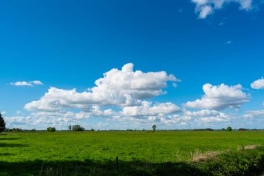 doğanın harika bir görünüm yürüyüş yaparken