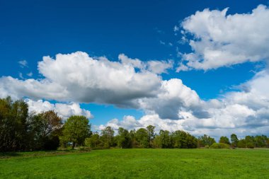 doğanın harika bir görünüm yürüyüş yaparken