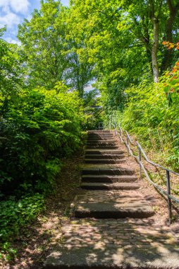 Nehir Lesum üzerinde Bremen Knoops Park üzerinden bir fotoğraf safari