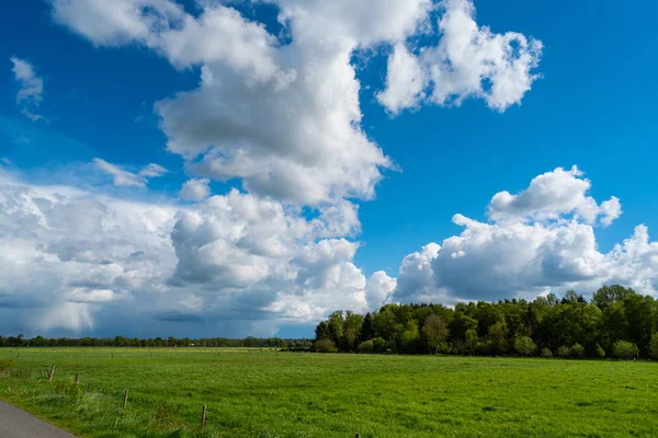 doğanın harika bir görünüm yürüyüş yaparken