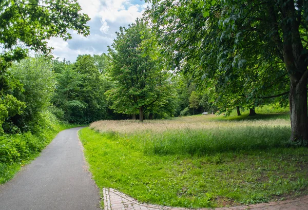 Safari Fotográfico Través Del Knoops Park Bremen Río Lesum — Foto de Stock