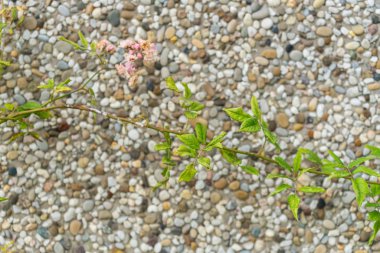 Duvardan taşa, tahtaya arka plan deseni varyasyonları