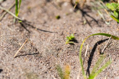 küçük şeyler çok büyük bir boyutta gösterilir