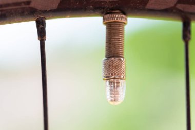 Bu fotoğraflarda ana tema olarak Bisiklet