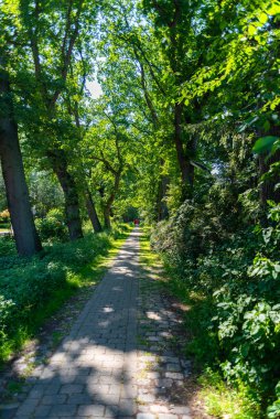 doğanın harika bir görünüm yürüyüş yaparken