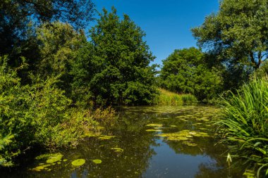Su her zaman doğada yolunu bulur.
