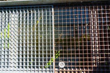 Odaklanmış motifler doğada bir yürüyüş sırasında bulunabilir