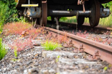 Kullanılmayan bir demiryolu üzerinde eski unutulmuş bir tren vagonu