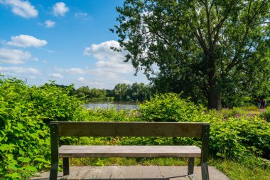 Knoops Park'taki bir bankadaki endişelerini unutabiliriz.