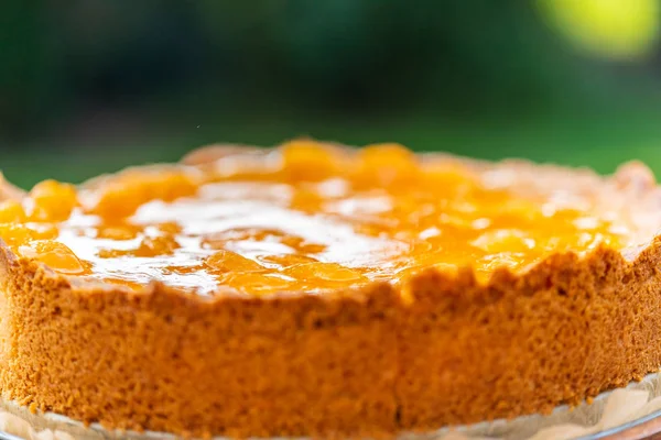 Um bolo de tangerina creme azedo caseiro — Fotografia de Stock