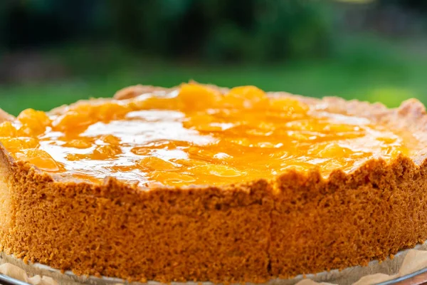 Um bolo de tangerina creme azedo caseiro — Fotografia de Stock