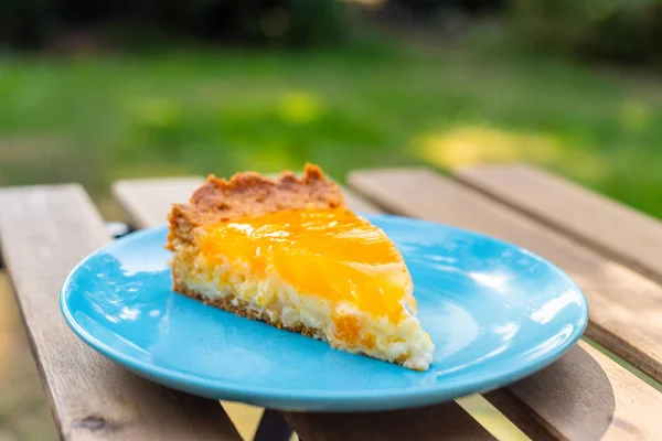Um bolo de tangerina creme azedo caseiro — Fotografia de Stock