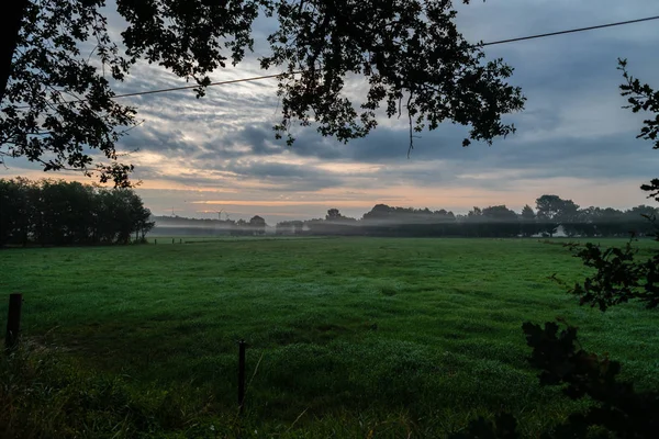 Al mattino luce nebbia sui campi — Foto Stock