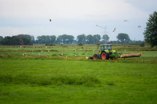 Hude, Alemanha 12 de agosto de 2019: Um trekker cortando um campo no th — Fotografia de Stock