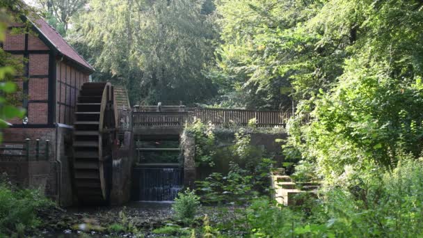 En las ruinas del monasterio Huder hay un arroyo con una rueda de agua y un puente — Vídeos de Stock