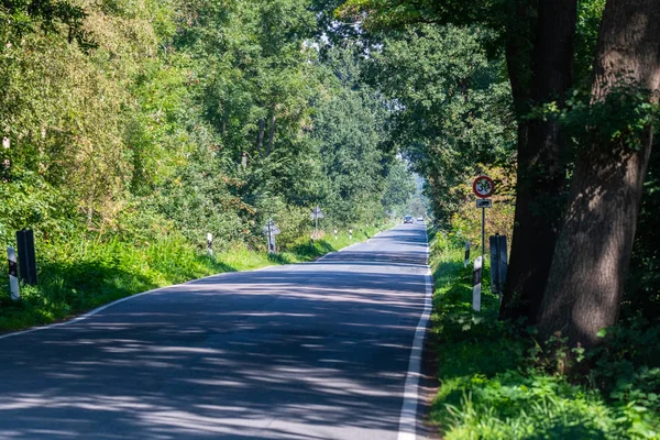 Hude, Alemanha, 30 de agosto de 2019: Em uma estrada rural, uma bicicleta de estrada — Fotografia de Stock