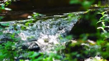 akan bir nehirde su girdap taşlar vardır