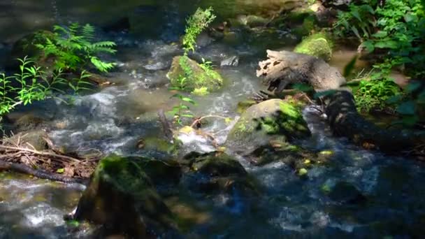 Płynie Rzeka Kamienie Które Wirują Wody — Wideo stockowe