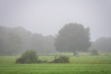Alanların üzerinde, sis arazi boyunca sürükleniyor, bir m oluşturarak