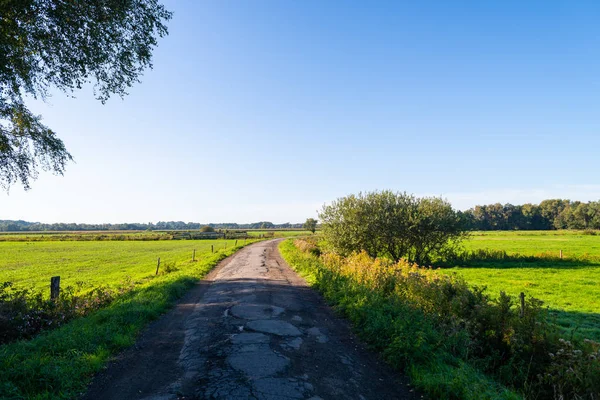 Een wandeling door de natuur en de velden in de blauwe lucht en helder — Stockfoto