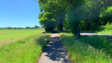 Bir köy yolu boyunca ve kuzey Almanya 'daki ormanlar boyunca doğada gezinen bir iç hat videosu