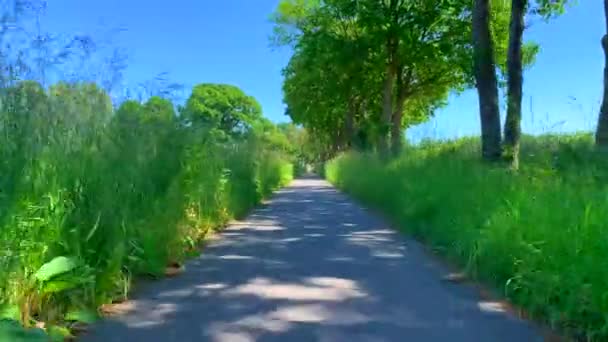 在德国北部的一条乡间小路上和森林边 有一段关于班轮穿越大自然的视频 — 图库视频影像
