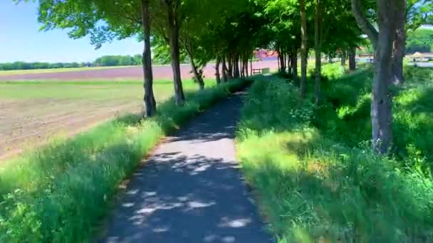 Video Giro Battello Attraverso Natura Lungo Una Strada Campagna Lungo — Video Stock