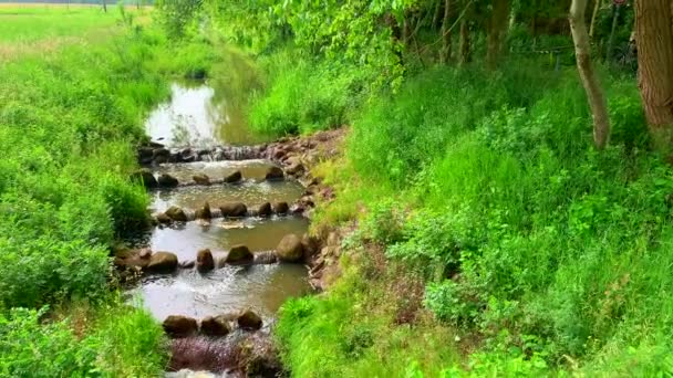 Pequeño Arroyo Naturaleza Con Piedras Como Desplazamiento Agua — Vídeo de stock