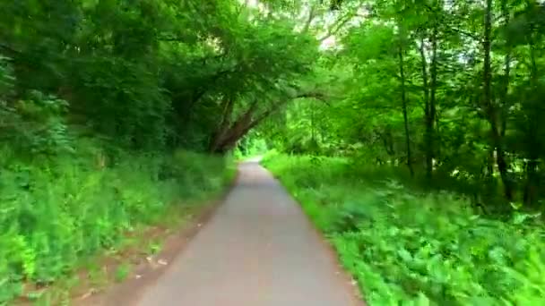 Eine Fahrt Auf Inlinern Entlang Der Lesum Bremen Vegesack — Stockvideo