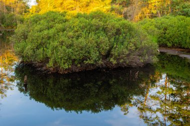 Doğal bir bozkırdaki küçük bir gölet çevreyi yansıtır.