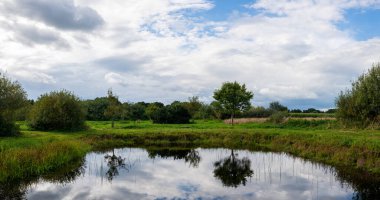 Kuzey Almanya 'daki tarlalar arasında bulutlu bir günde nispeten net yansıyan küçük bir göletin fotoğrafları.