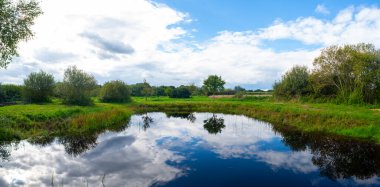 Kuzey Almanya 'daki tarlalar arasında bulutlu bir günde nispeten net yansıyan küçük bir göletin fotoğrafları.