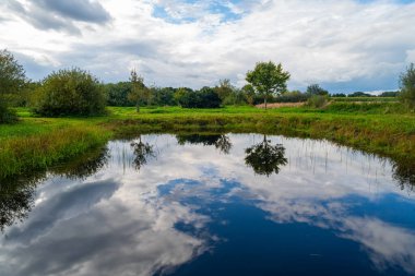 Kuzey Almanya 'daki tarlalar arasında bulutlu bir günde nispeten net yansıyan küçük bir göletin fotoğrafları.