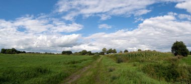 Güzel bulutlu bir günde Kuzey Almanya 'daki tarlalardan çekilen manzara