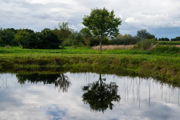 Photos Small Pond Fields Northern Germany Relatively Clear Reflection Cloudy — Stock Photo, Image