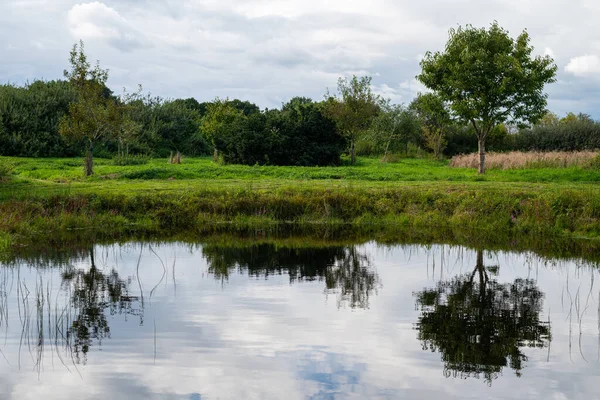 Kuzey Almanya 'daki tarlalar arasında bulutlu bir günde nispeten net yansıyan küçük bir göletin fotoğrafları.