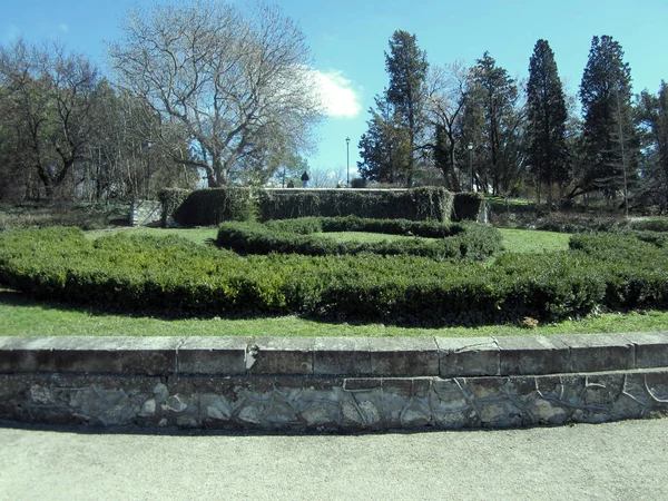 Frühling Park — Stockfoto