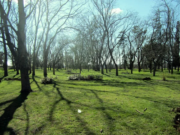 Frühlingspark Sewastopol — Stockfoto