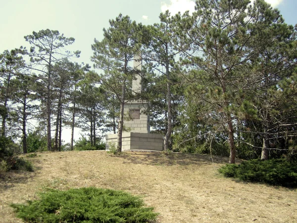 Pomnik Lesie Sosnowym — Zdjęcie stockowe
