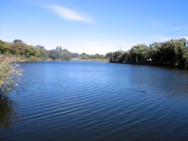 Lago Donetsk Verão — Fotografia de Stock