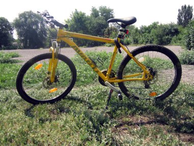 yaz alanında sarı Bisiklet