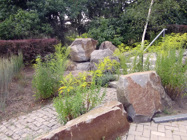 Piedras Flores Parque — Foto de Stock