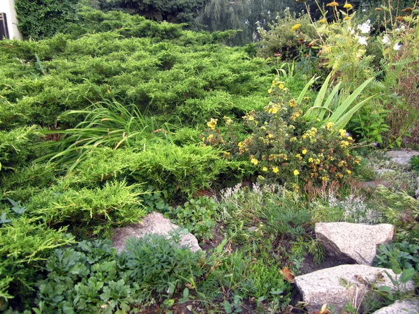 Jardín Parque — Foto de Stock